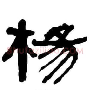杨