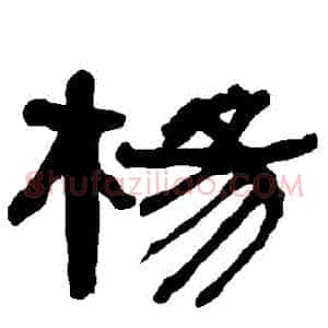 楊