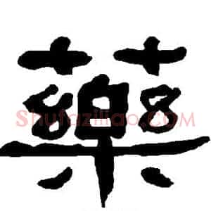 药