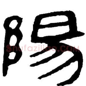 陽