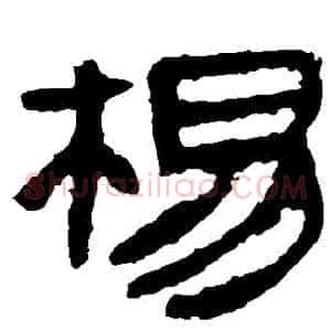 楊