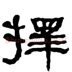 择