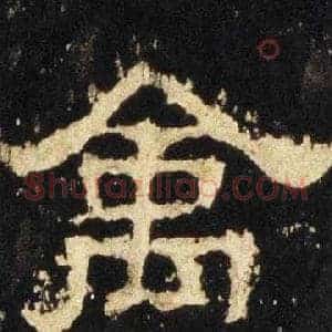 禽
