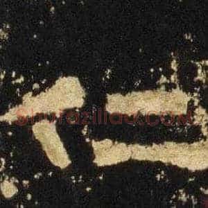 仁