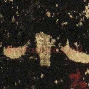 小