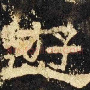 遊
