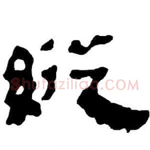 纵