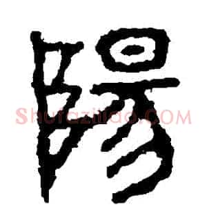 陽