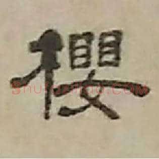 樱
