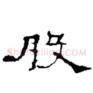 股