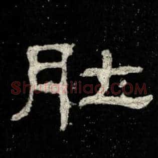 肚