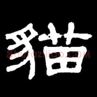 猫