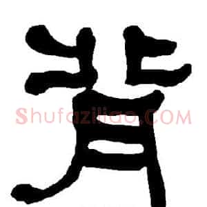 背