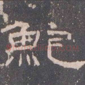 鮑