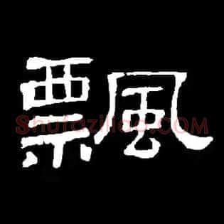 飘