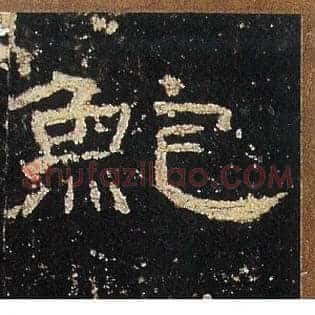 鮑