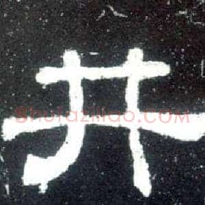 井