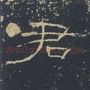 君
