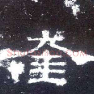 奎