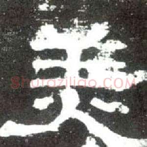 美