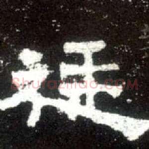 廷