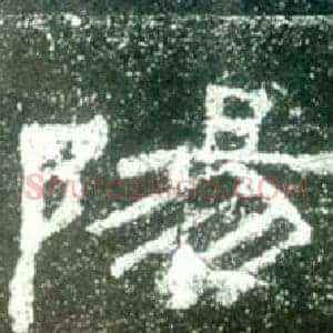 陽