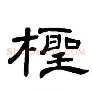 柽