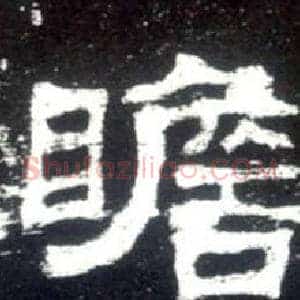 瞻