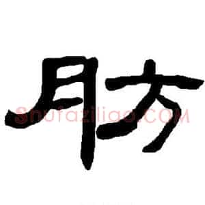 肪