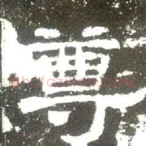 尊
