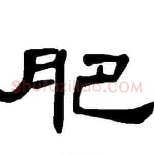 肥