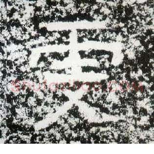 雯