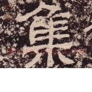 集