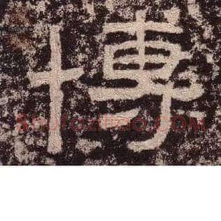 博