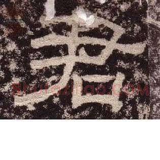 君