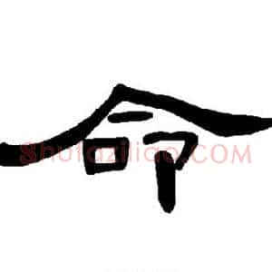命