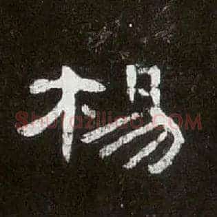 杨