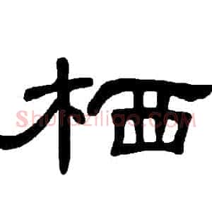 棲