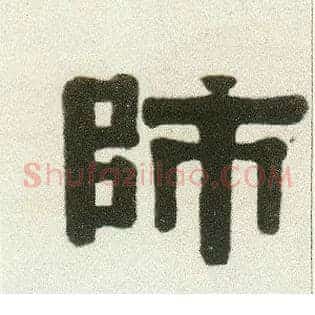 师