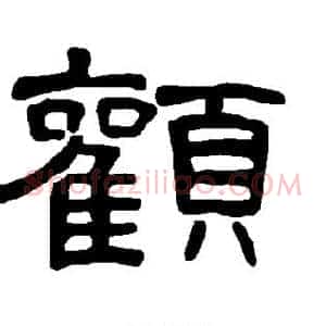 颧