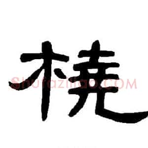 桡