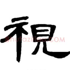 视