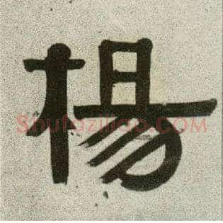 杨