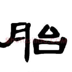 胎