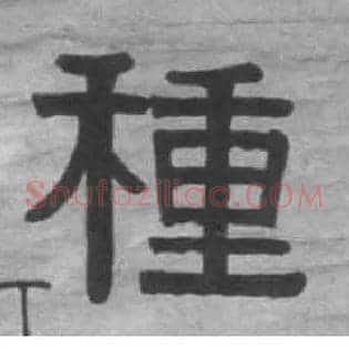 种