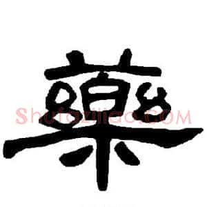 药