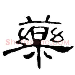 藥