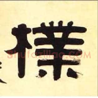 朴