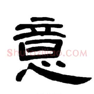 意