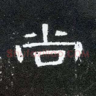 尚